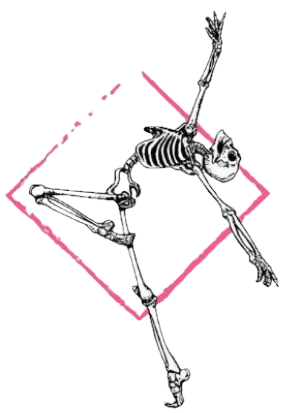 Crossbow